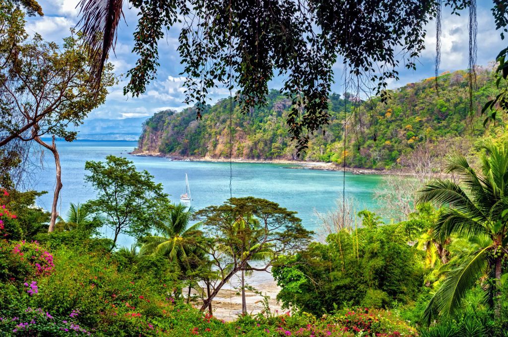 Ayhuasca Costa Rica
