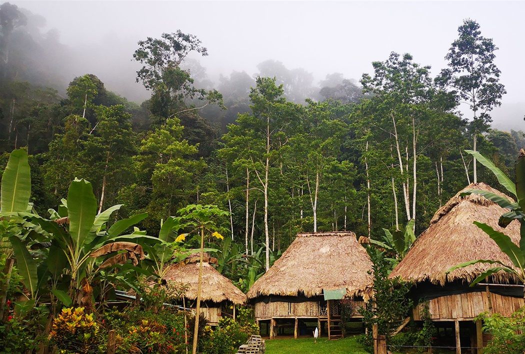Ayahuasca Centro esikaro Costa Rica