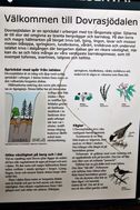 1 Informationen
