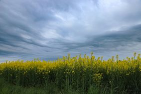 Dramatisk himmel vid Läckö1