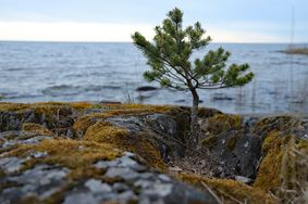 Vänern vid Läckö strand1