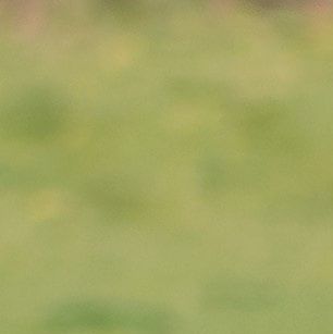 unsplash_PsdLrhj18bg