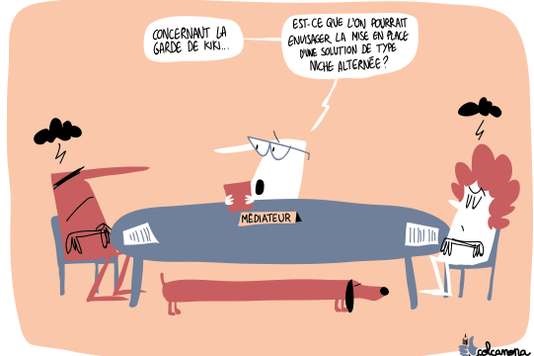 http://www.lemonde.fr/societe/article/2017/10/17/face-a-une-justice-civile-debordee-la-mediation-devient-un-marche-convoite_5201979_3224.html