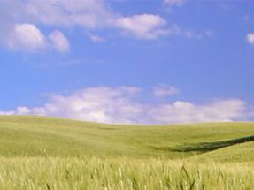 San Quirico d’Orcia, I Cipressini