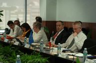 Delegacion UE + expertos UE_ene2010