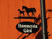 CIMG0543.JPG-for-web-small