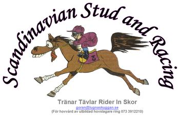Scandivanien Stud and Racing