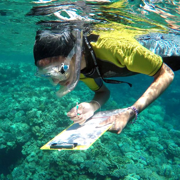 Junior Marine Survey