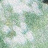 unsplash_dIMJWLx1YbE