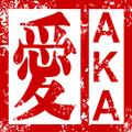 aka2009
