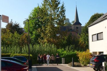 Treppel (87)