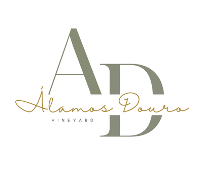Quinta dos Álamos - Douro