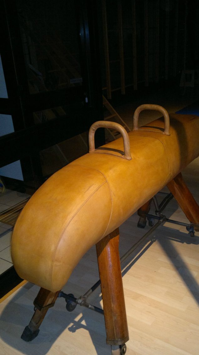 Cavallo a maniglie dei primi del Novecento