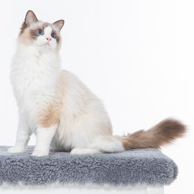 2021 11 20 - Kattis 0004