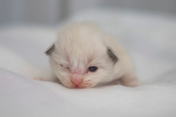 2022 02 06 - Greta 0002