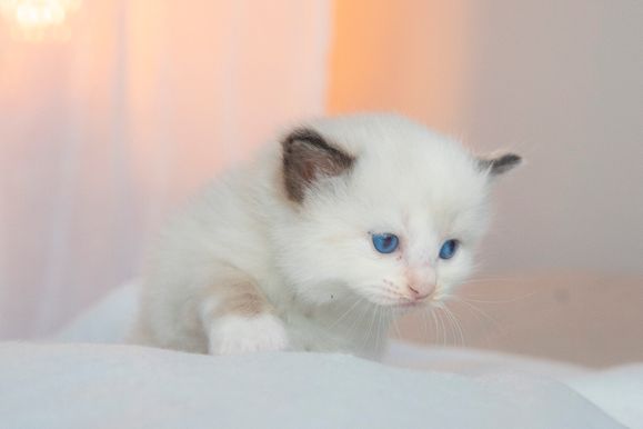 2022 02 19 - Greta 0001