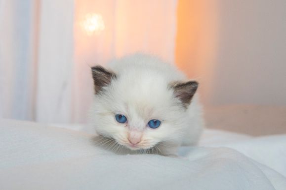 2022 02 19 - Greta 0002