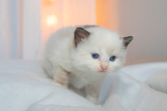 2022 02 19 - Greta 0004