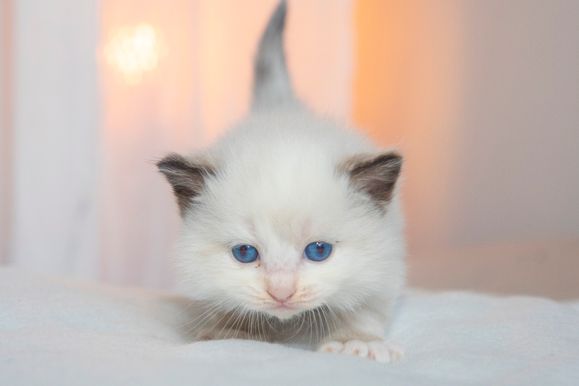 2022 02 19 - Greta 0005