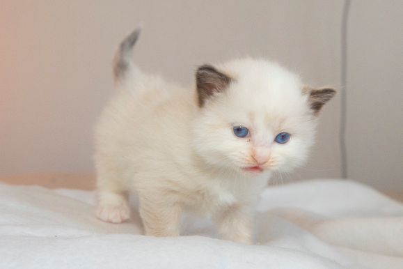 2022 02 19 - Greta 0006