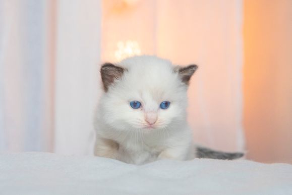 2022 02 19 - Greta 0007
