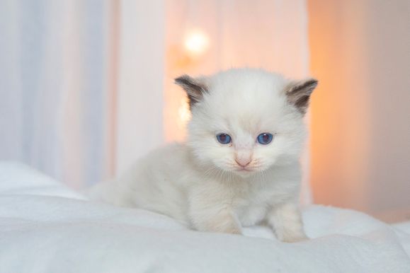 2022 02 19 - Greta 0008