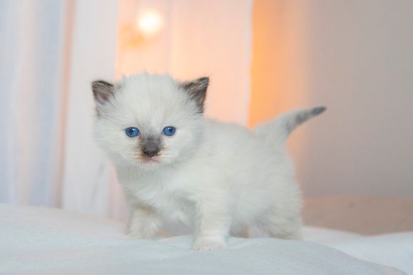 2022 02 19 - Gunnar 0001