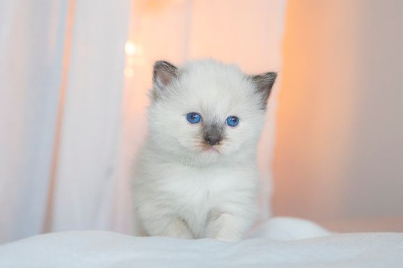2022 02 19 - Gunnar 0004