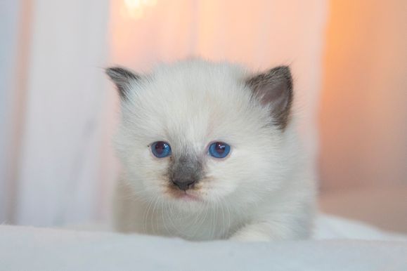 2022 02 19 - Gunnar 0005