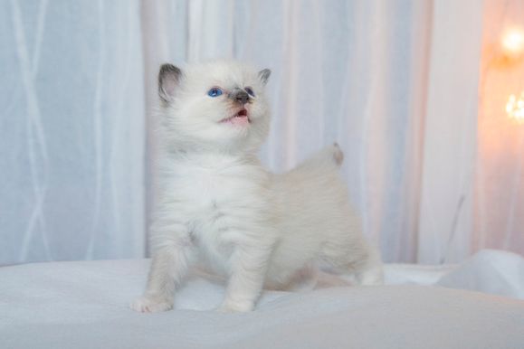 2022 02 19 - Gunnar 0007
