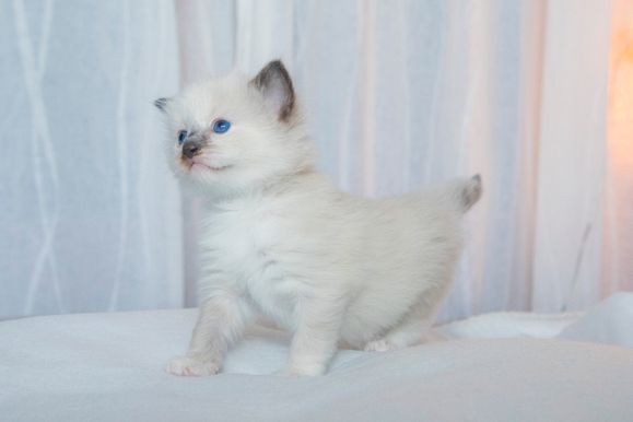 2022 02 19 - Gunnar 0008