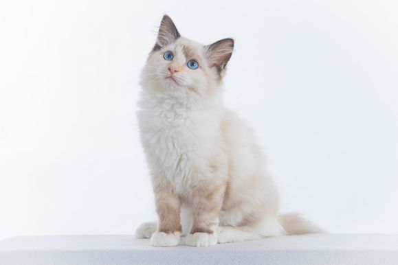 2022 04 22 - Greta 0002