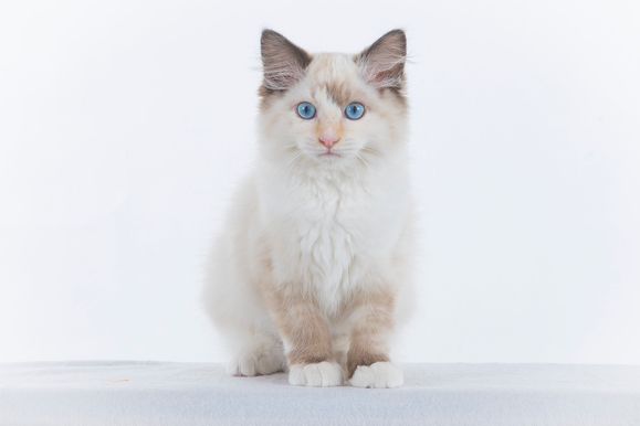 2022 04 22 - Greta 0009