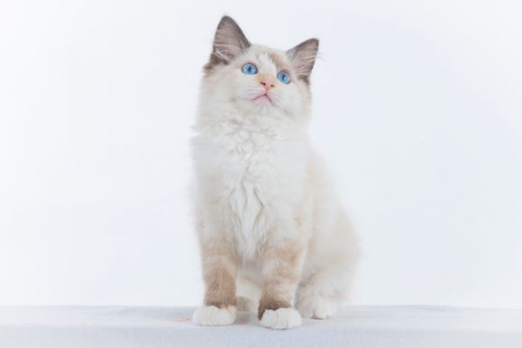 2022 04 22 - Greta 0011