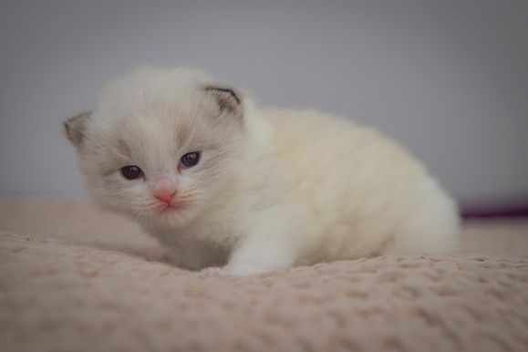 2023 01 08 - Lucky 0002