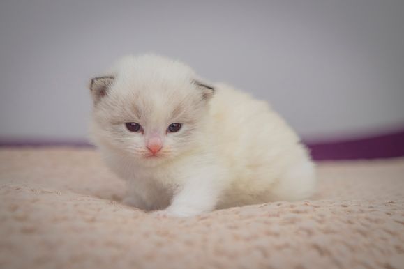2023 01 08 - Lucky 0003