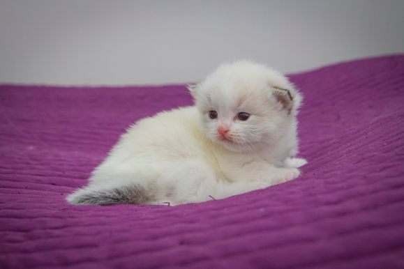 2023 01 08 - Lucky 0007