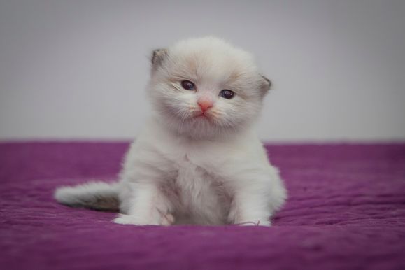 2023 01 08 - Lucky 0010