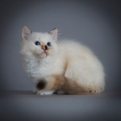 2023 09 13 - Martha 0003