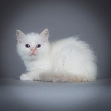 2023 09 13 - Nellie 0001