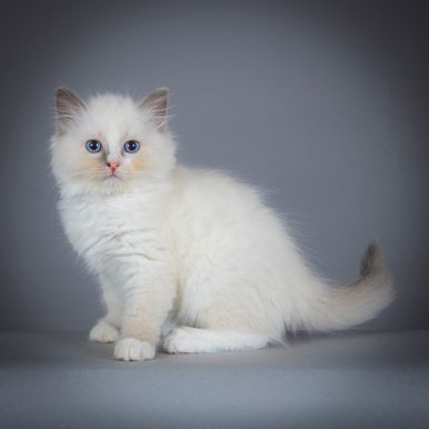 2023 09 15 - Olivia 0001