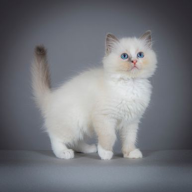 2023 09 15 - Olivia 0003