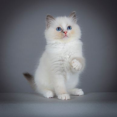 2023 09 15 - Olivia 0004