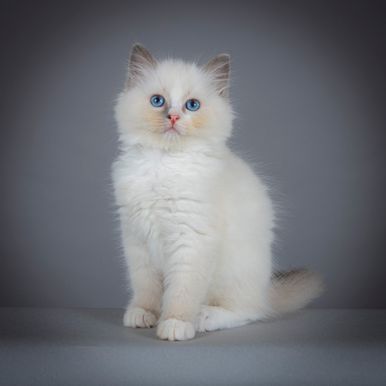 2023 09 15 - Olivia 0006