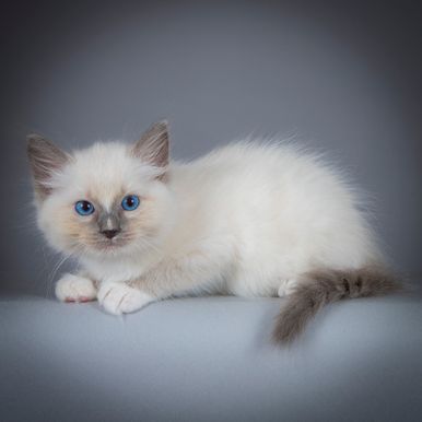 2023 09 15 - Ozzy 0003