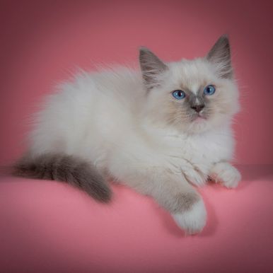 2023 09 21 - Ozzy 0006