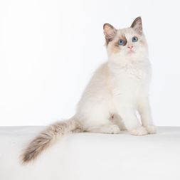 2024 06 14 - Rosie 0008