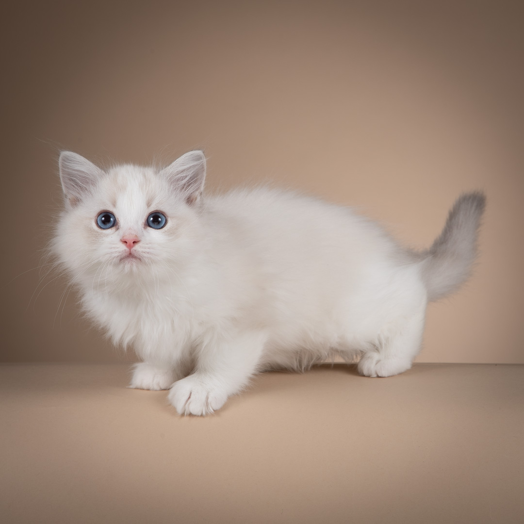 SE*Älegårdens Tiana