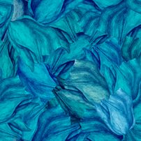 Flores 2