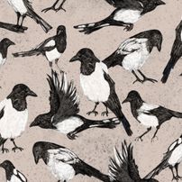 Magpies